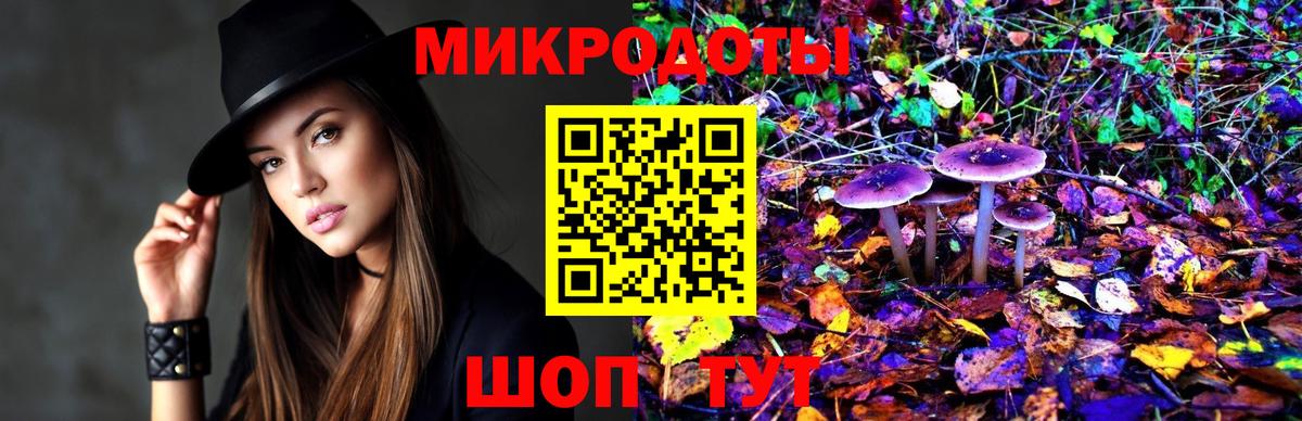 Усть-Джегута  Псилоцибиновые грибы мицелий  Вход с VPN 